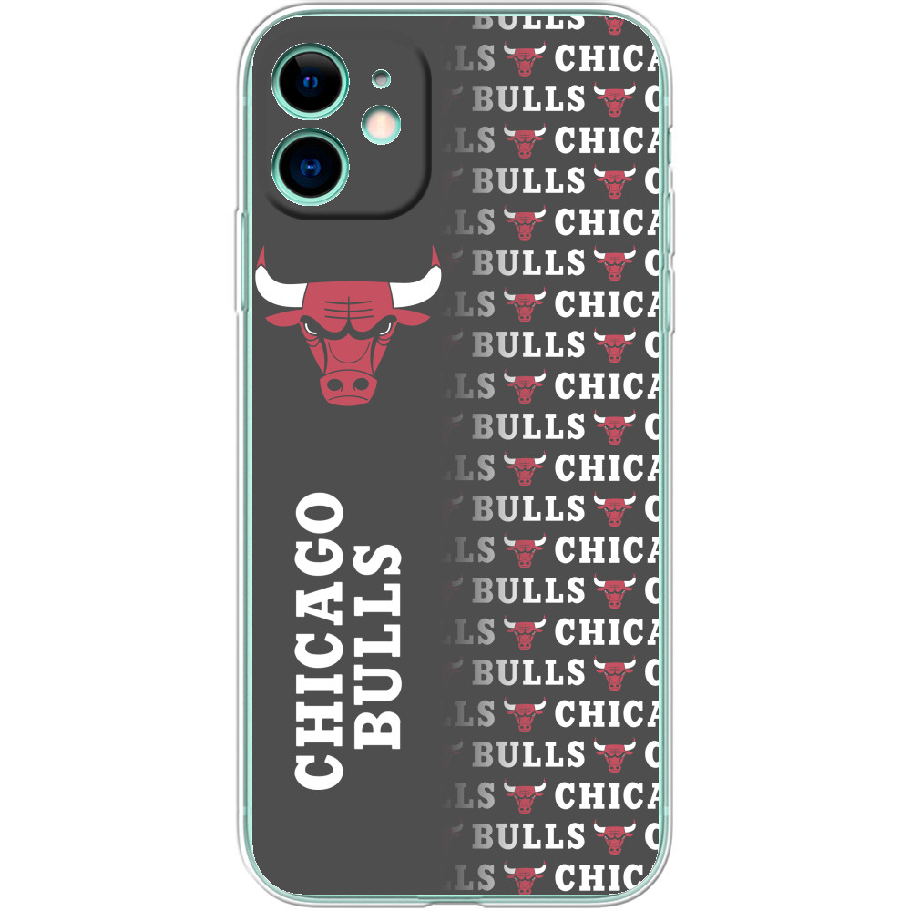 Chicago Bulls [7]