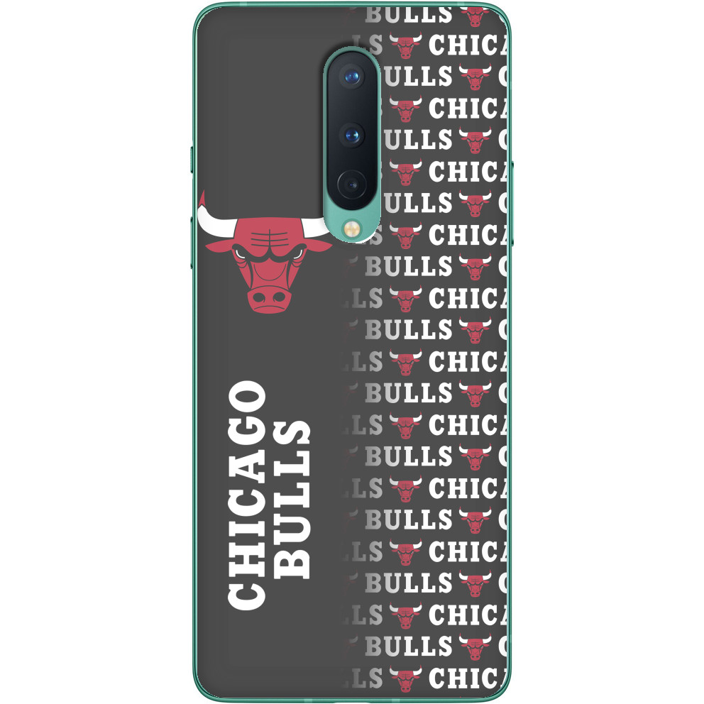 Chicago Bulls [7]