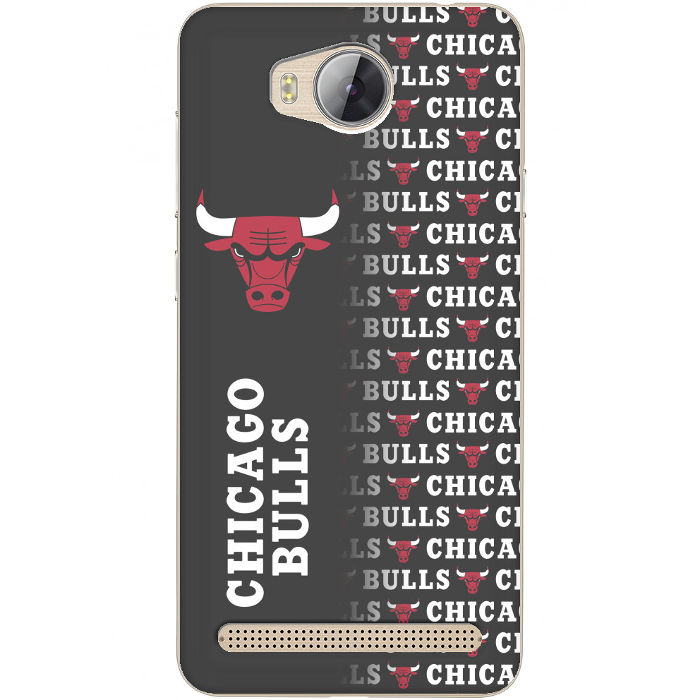 Chicago Bulls [7]