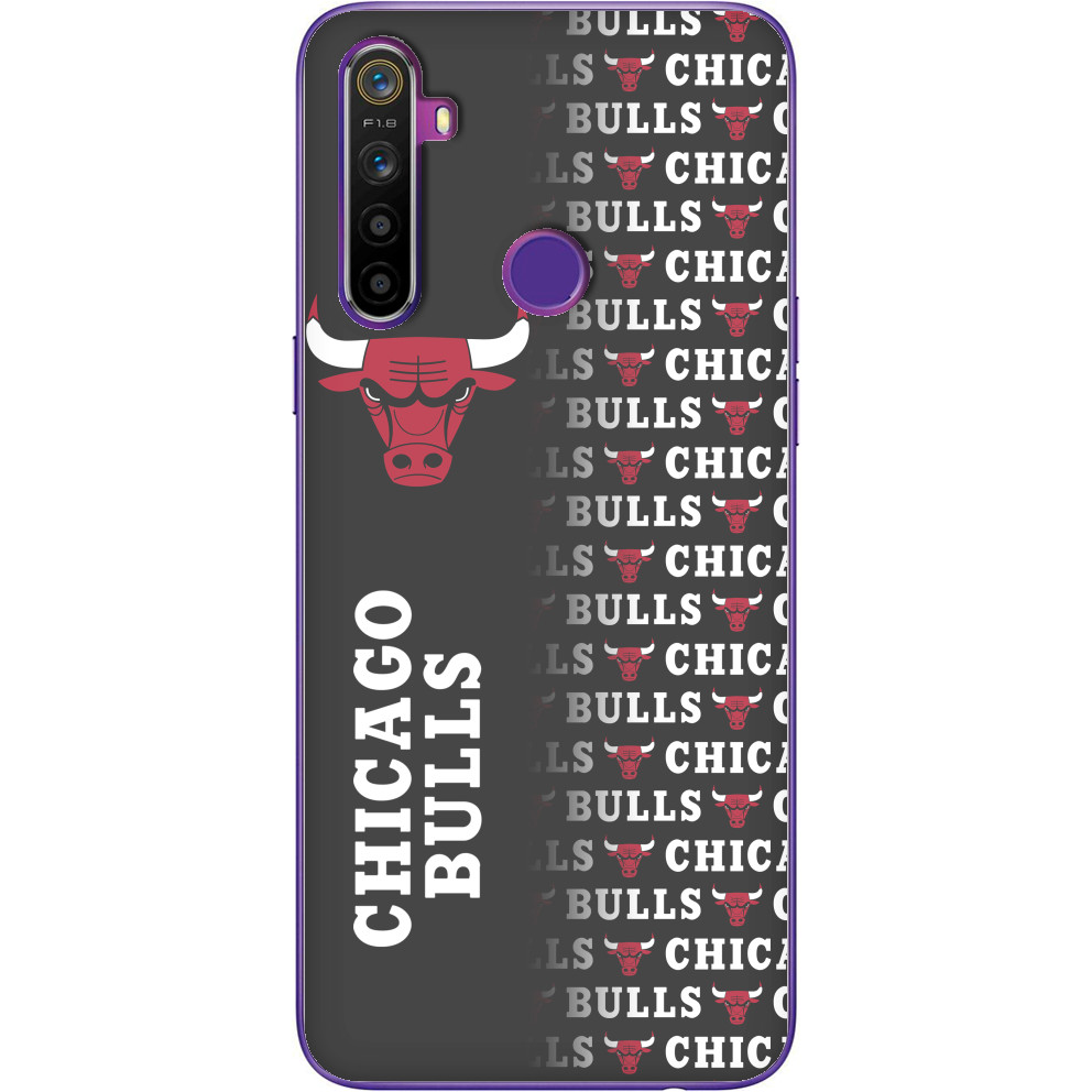 Chicago Bulls [7]