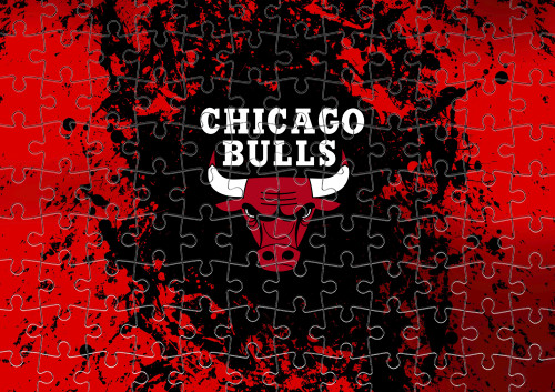 Chicago Bulls [5]