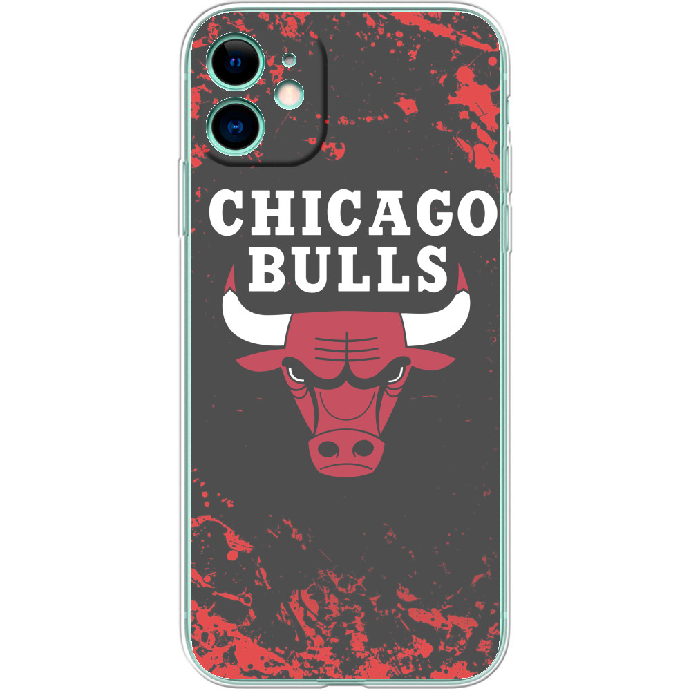 Chicago Bulls [5]