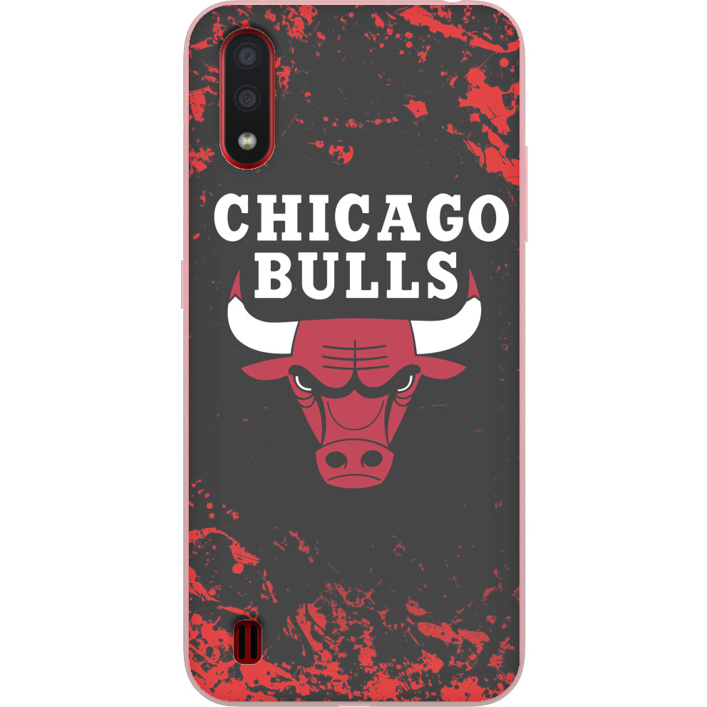 Chicago Bulls [5]