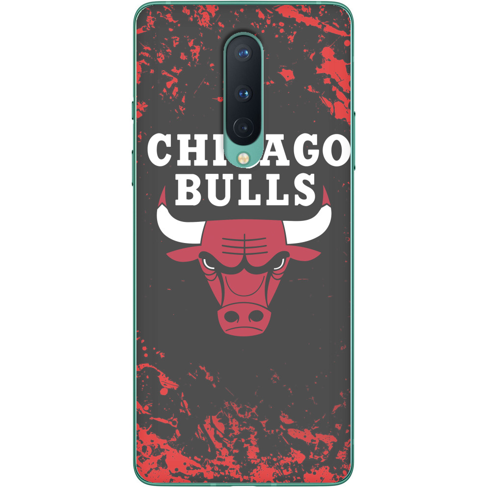 Chicago Bulls [5]