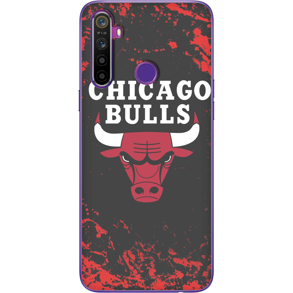 Chicago Bulls [5]