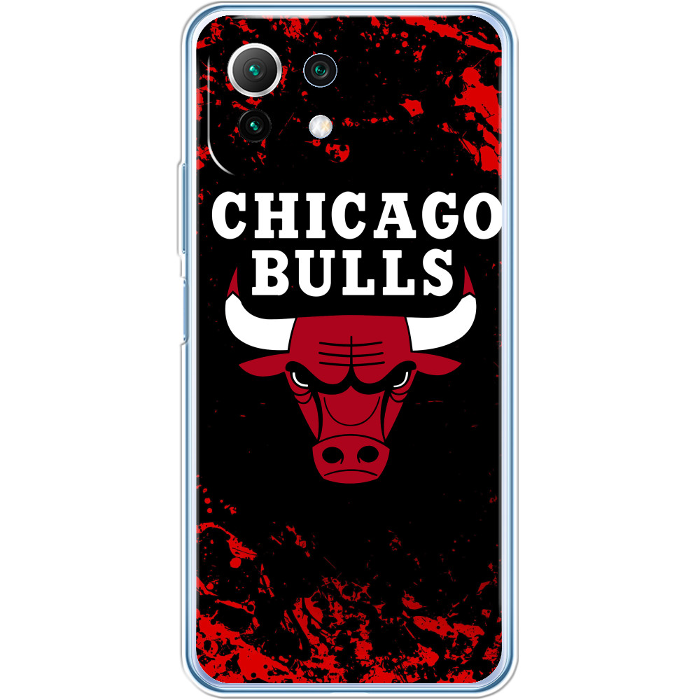 Chicago Bulls [5]