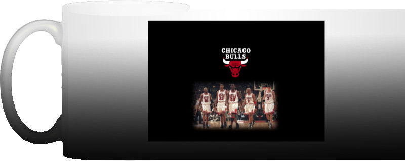 Chicago Bulls [4]