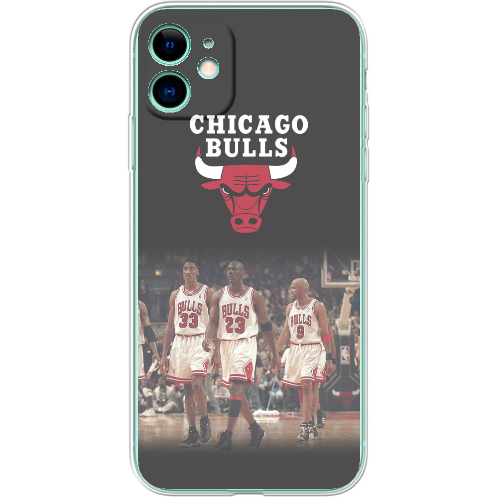 Chicago Bulls [4]