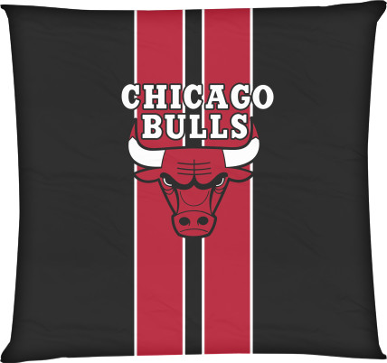 Chicago Bulls [3]