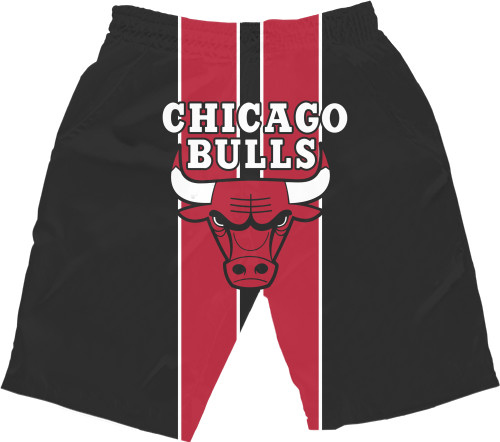 Chicago Bulls [3]