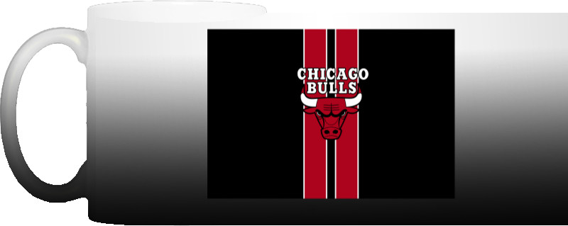 Chicago Bulls [3]