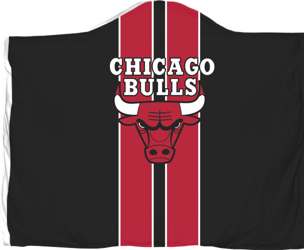 Chicago Bulls [3]