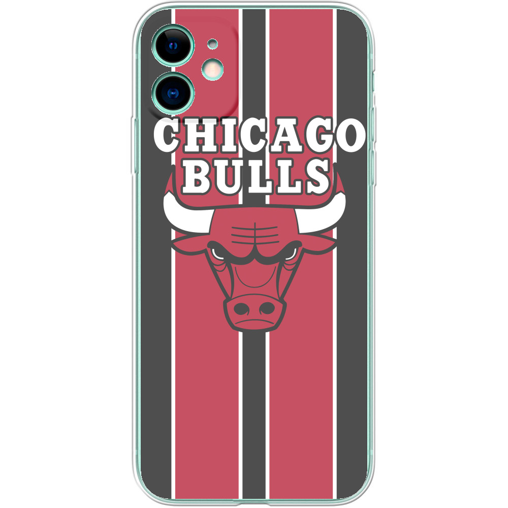 Chicago Bulls [3]