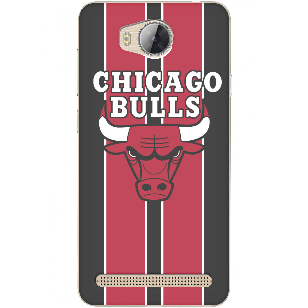 Chicago Bulls [3]