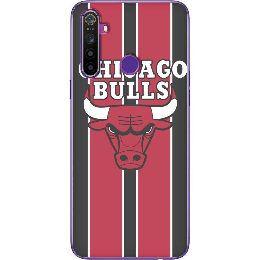 Chicago Bulls [3]