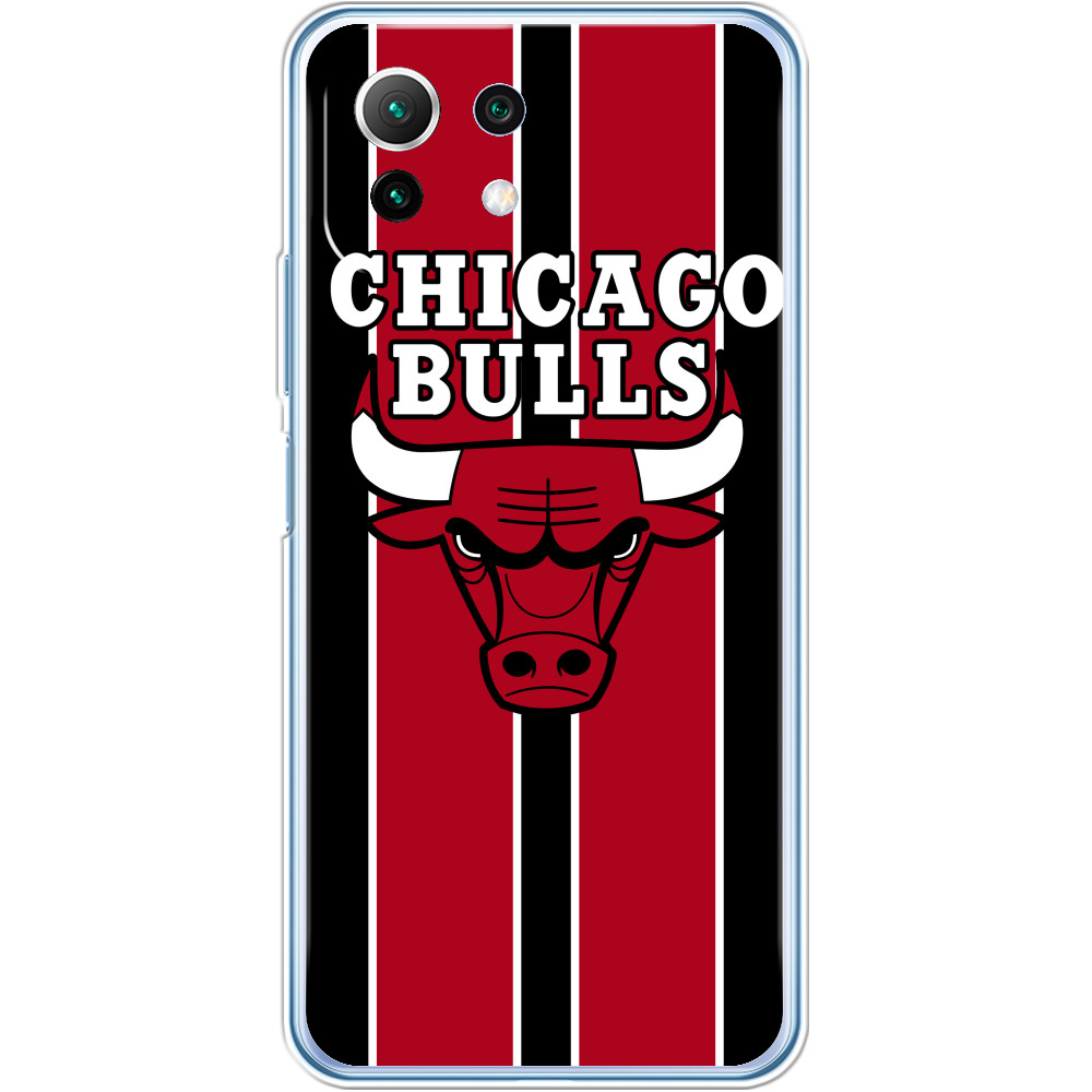 Chicago Bulls [3]