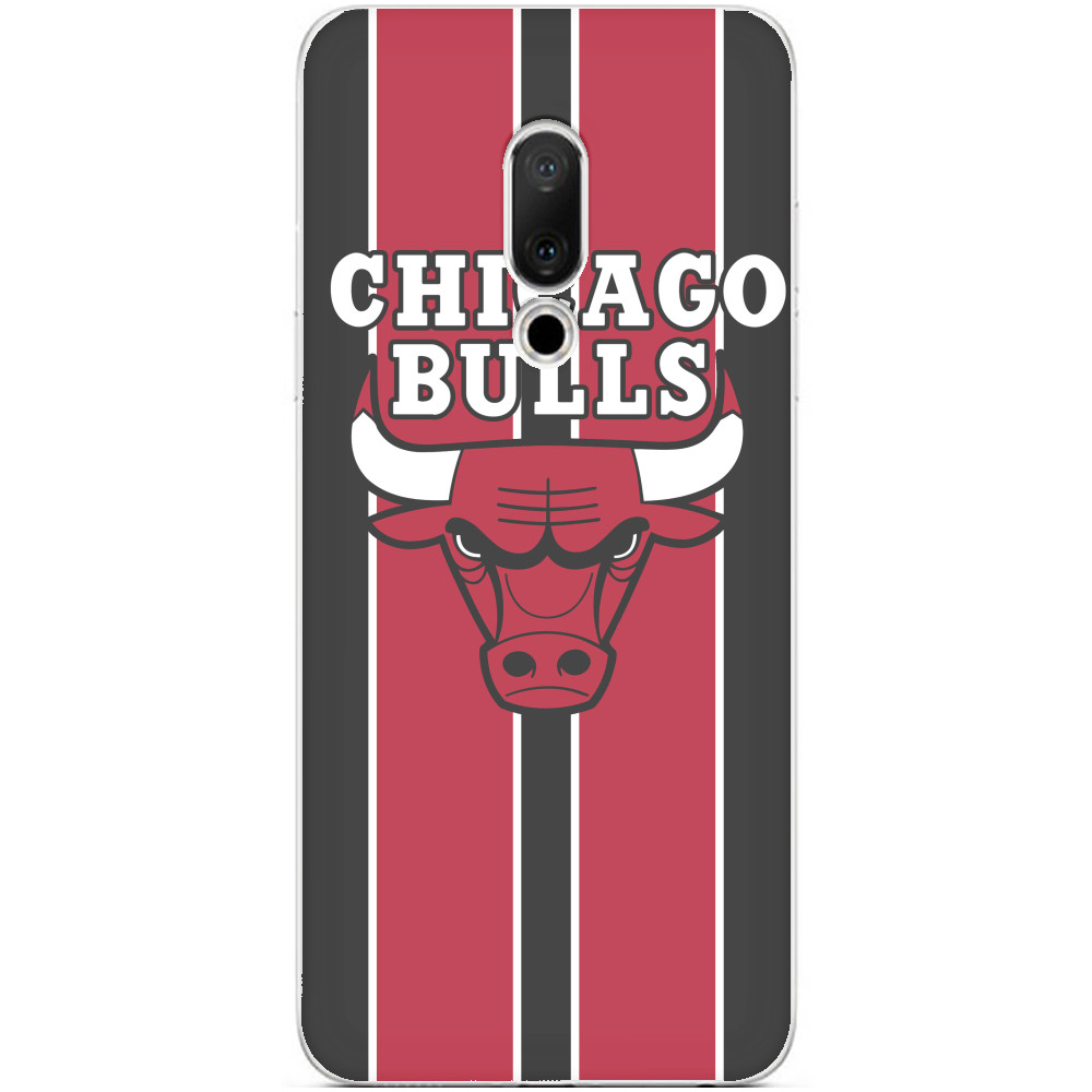 Chicago Bulls [3]