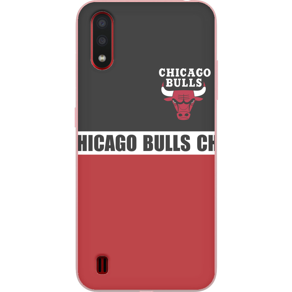 Chicago Bulls [1]