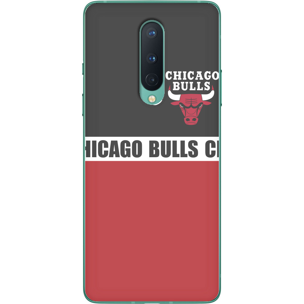 Chicago Bulls [1]