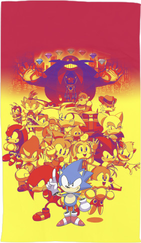 SONIC (31)