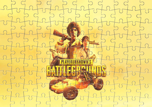 PUBG (15)