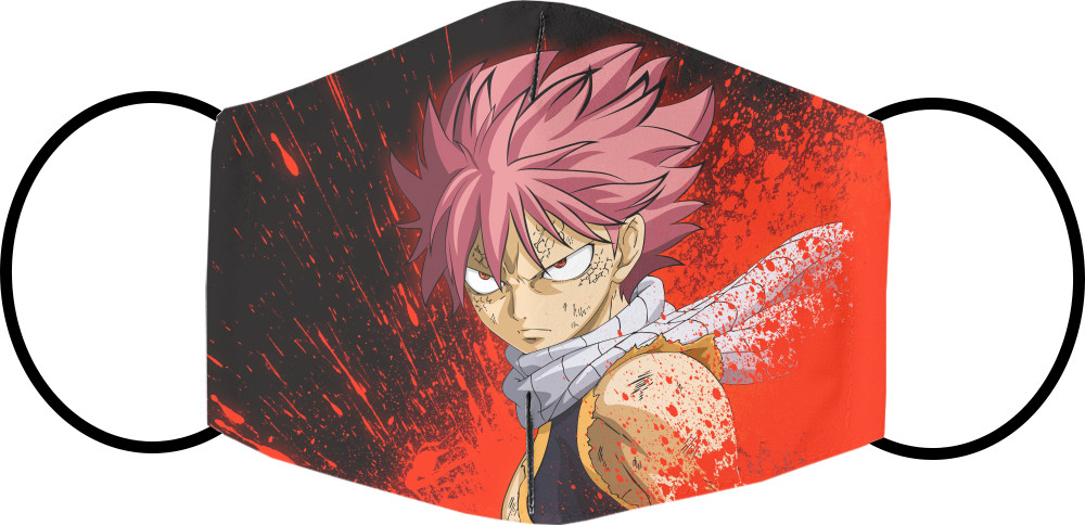 Fairy Tail (6)