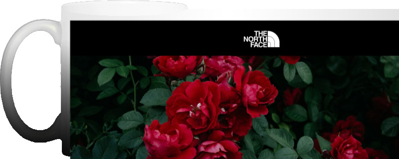 THE NORTH FACE (Розы)