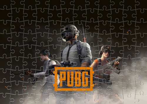 PUBG (9)