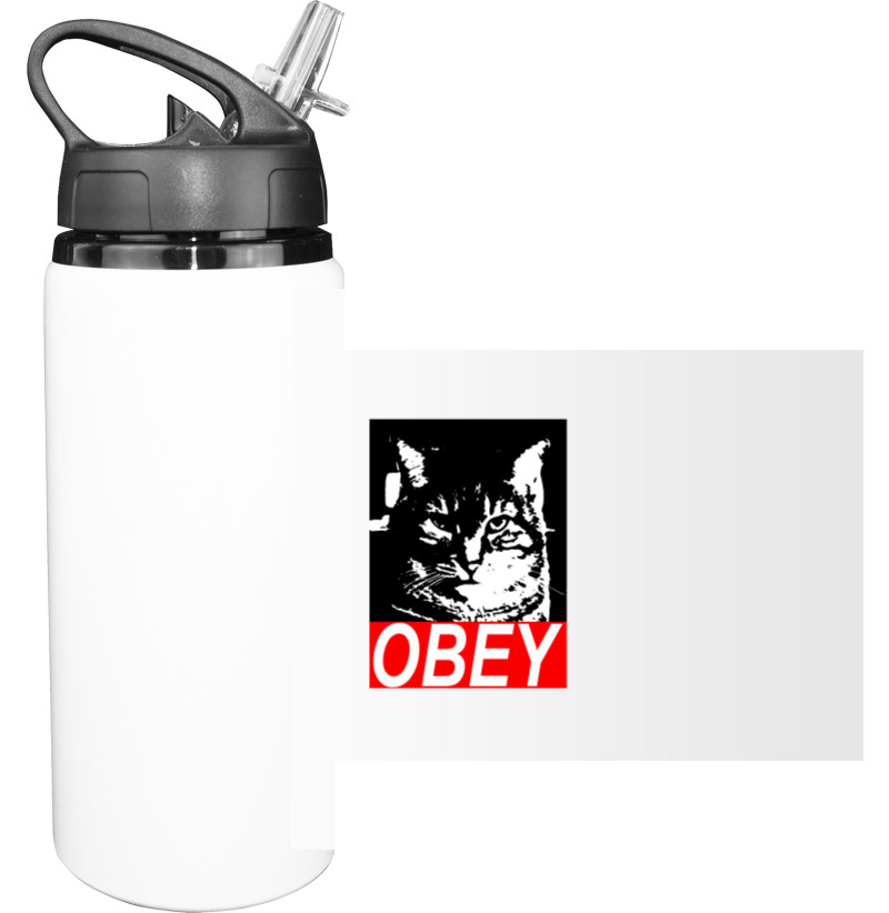 Obey cat