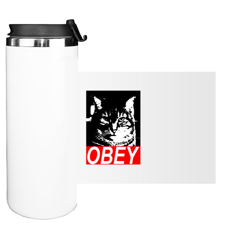 Obey cat