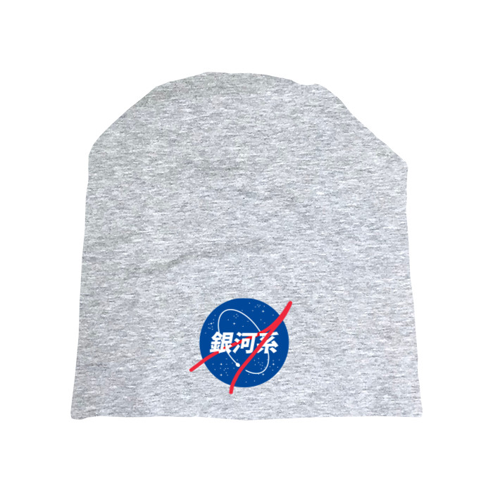 Nasa logo Japan