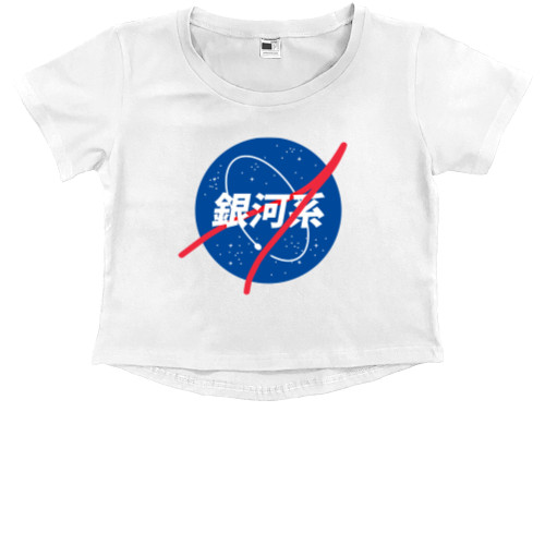 Nasa logo Japan