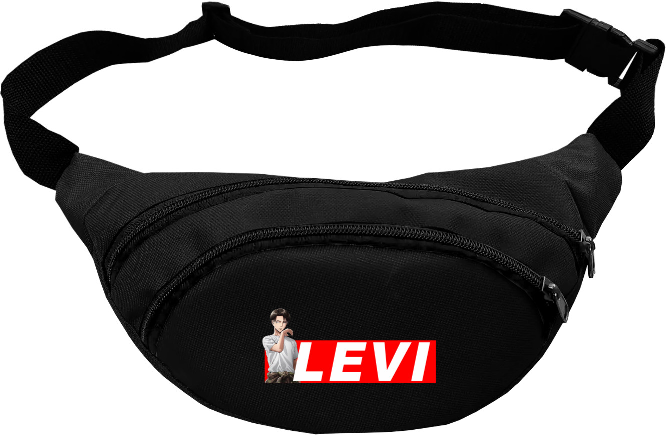 LEVI