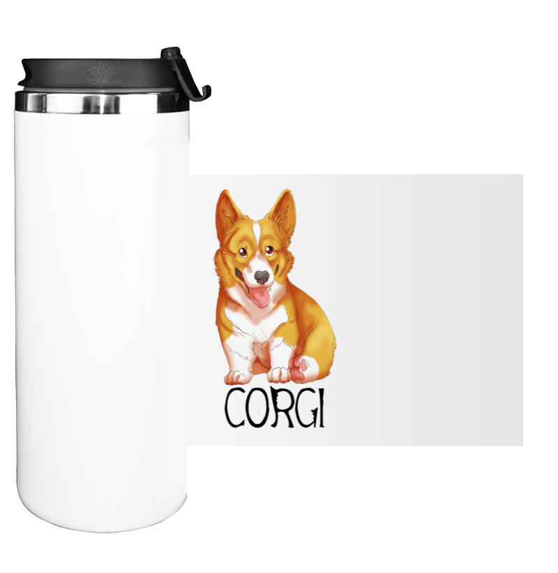 corgi