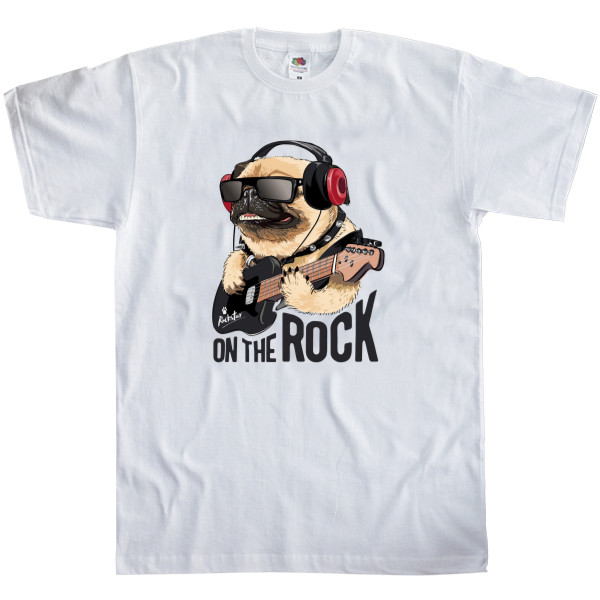 pug on the rock