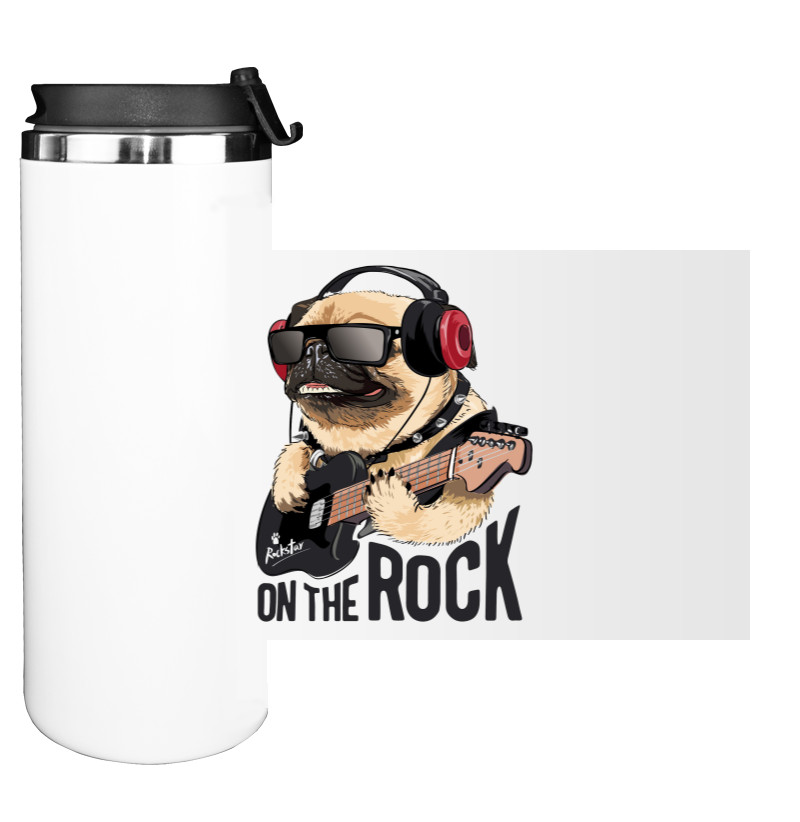 pug on the rock