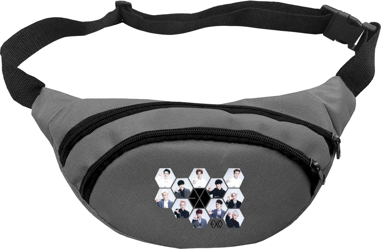 Fanny Pack - EXO - Mfest