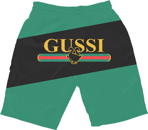 GUSSI 2