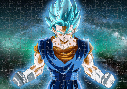 Vegetto