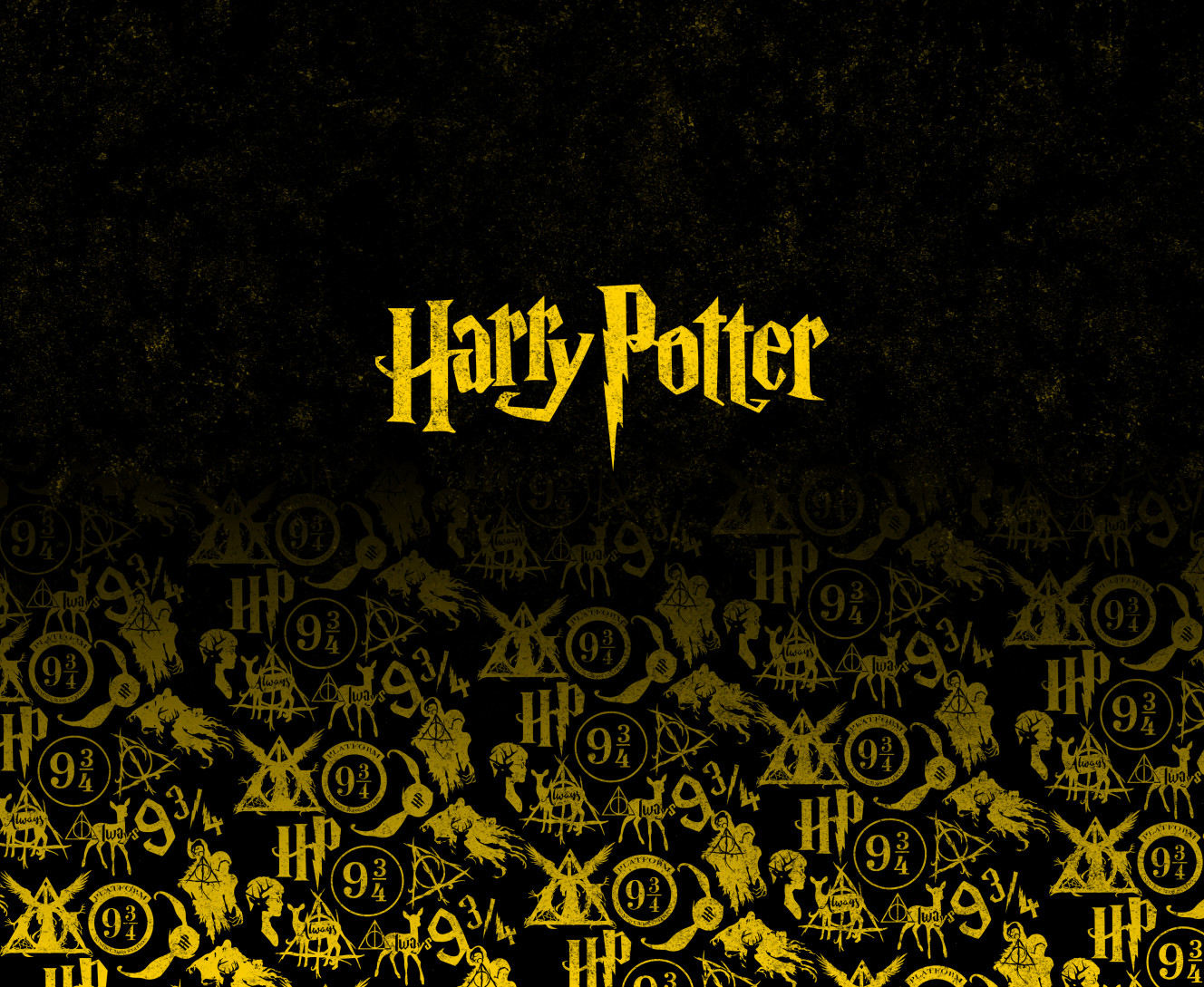 HARRY POTTER (19)