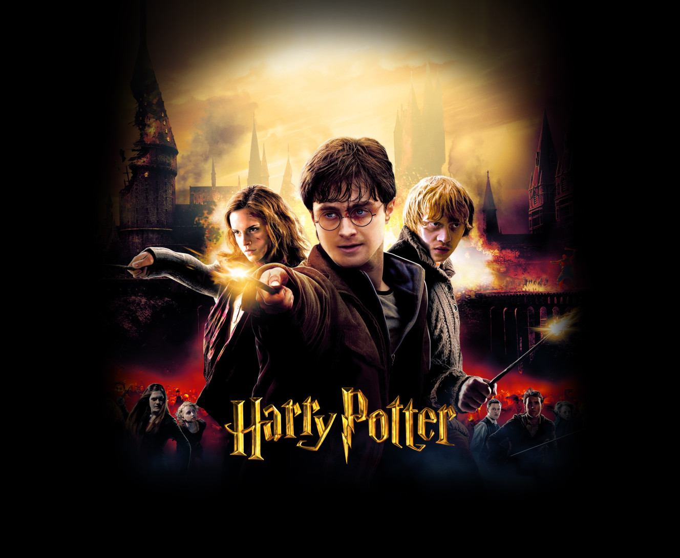 HARRY POTTER (22)