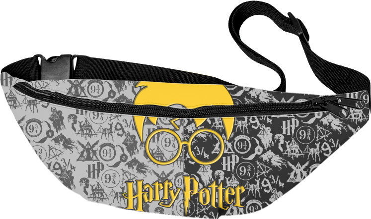 HARRY POTTER (17)