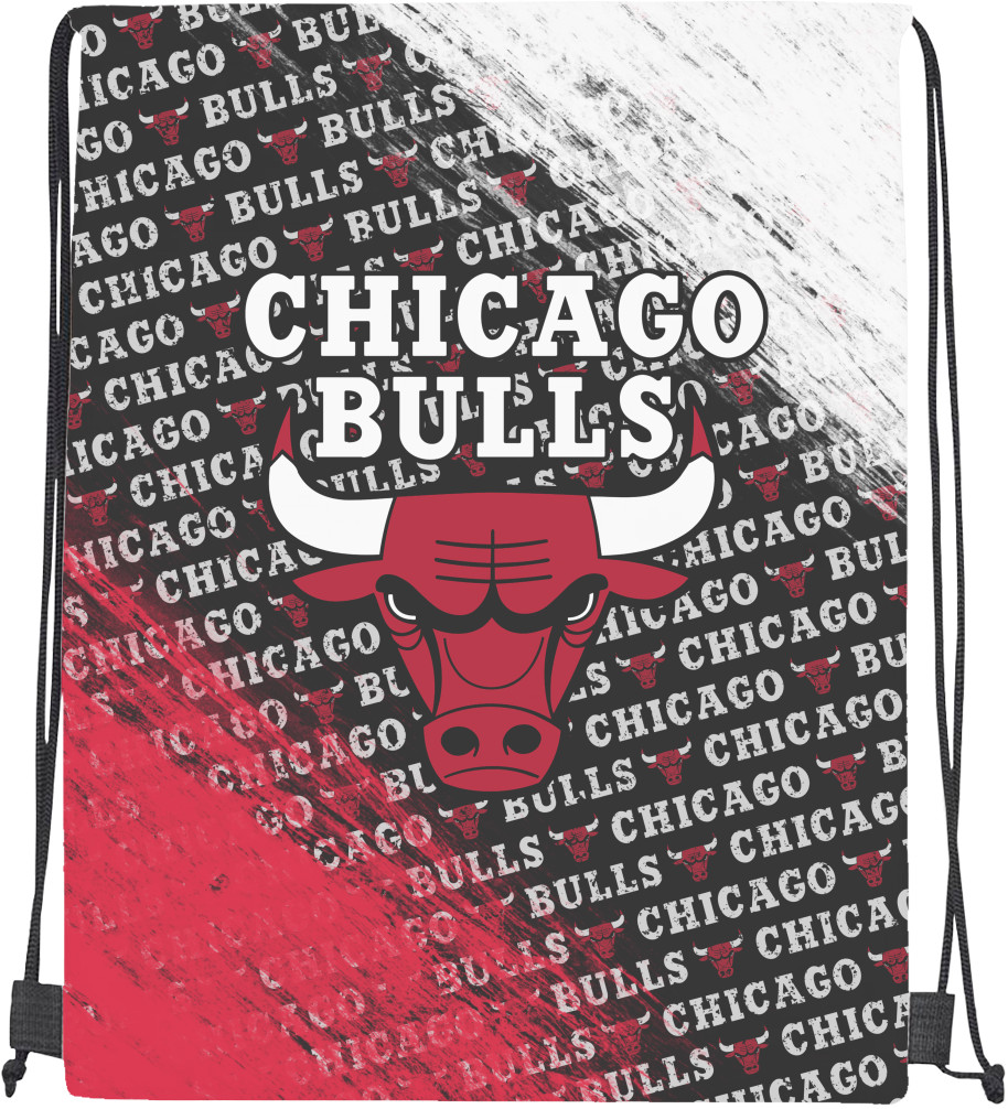 Chicago Bulls [6]