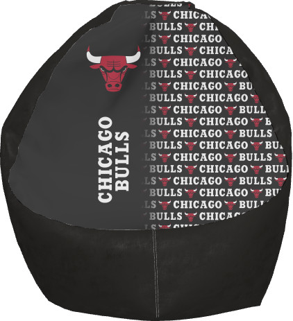 Chicago Bulls [7]