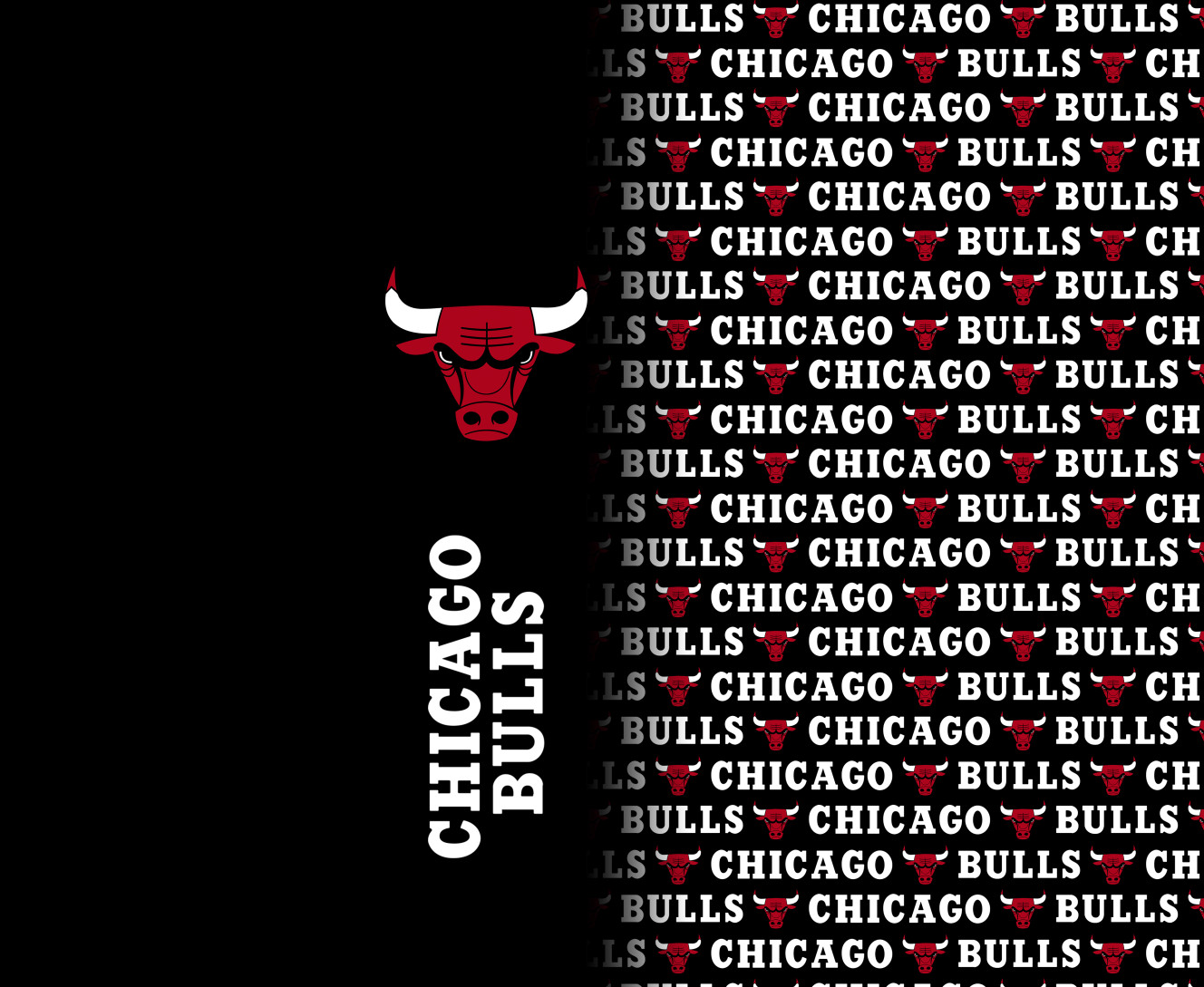 Chicago Bulls [7]