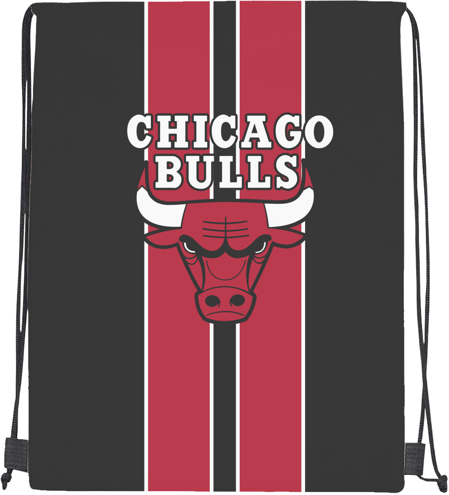 Chicago Bulls [3]