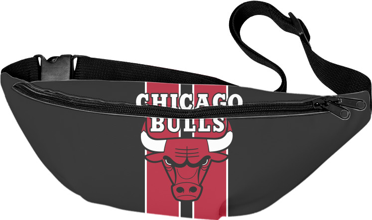 Chicago Bulls [3]