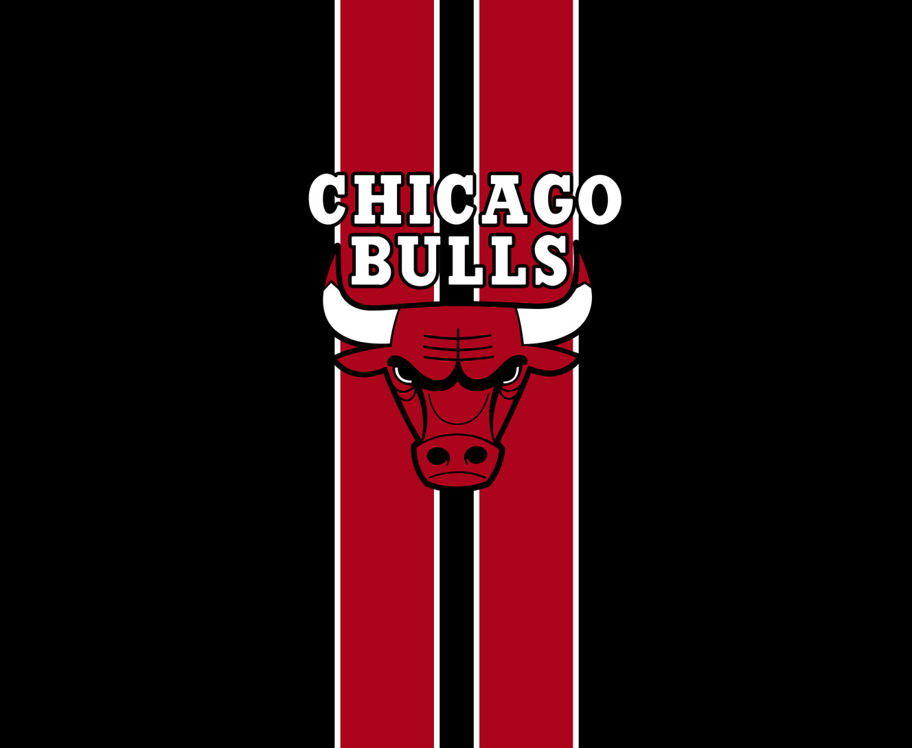 Chicago Bulls [3]