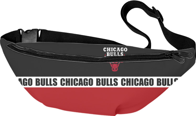 Chicago Bulls [1]