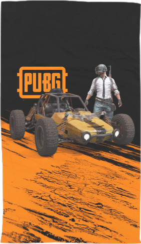 PUBG (19)